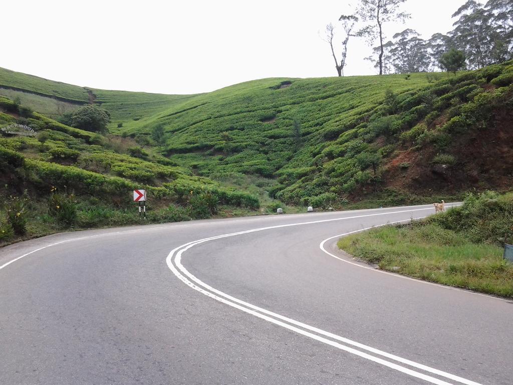Villa Cassandra Nuwara Eliya Buitenkant foto