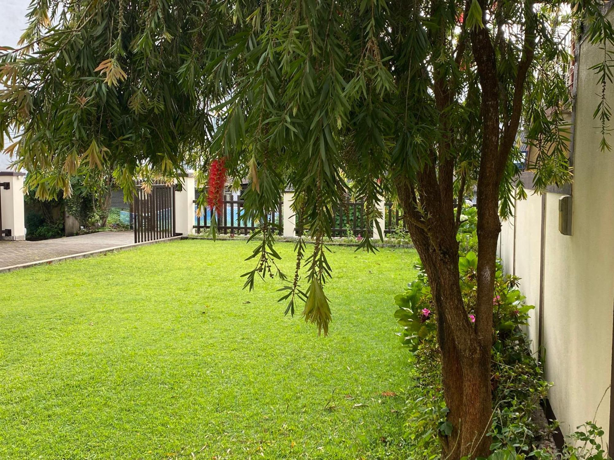 Villa Cassandra Nuwara Eliya Buitenkant foto